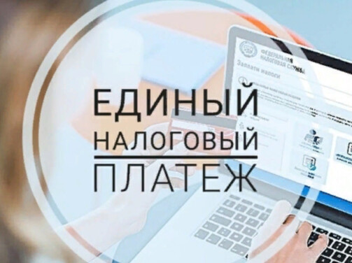 Налоговики сообщили о частых ошибках в платежках на перечисление ЕНП
