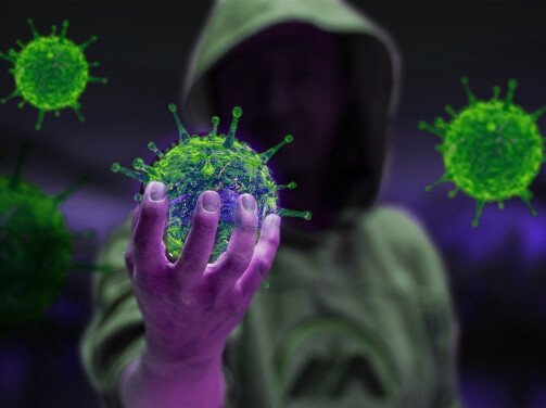 Налоговики советуют поторопиться с подачей заявлений на «коронавирусную» налоговую отсрочку/рассрочку